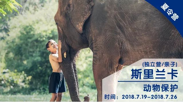 开心豆少儿英语国际青少年志愿者计划夏令营开营啦！5