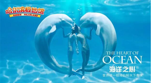 2018年上海快亲国庆亲子游 避开人群高峰 和北国动物约个会1