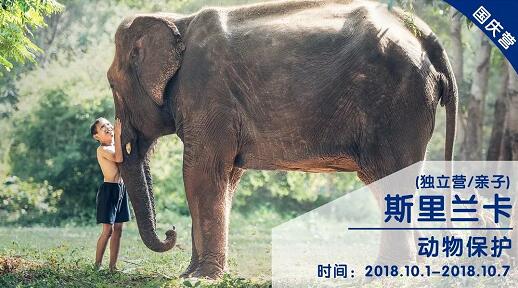 2018年开心豆暑期夏令营回顾(附国庆活动预告)5