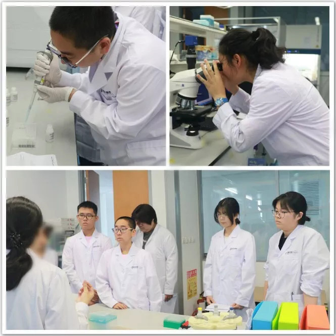 研有所成 | 2019年清大紫育生物基因编辑及新型能源应用研究性学习营圆满落幕！2