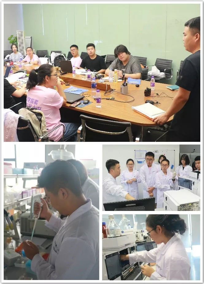 2019清大紫育生物基因编辑及新型能源应用研究性学习营之求知探索1