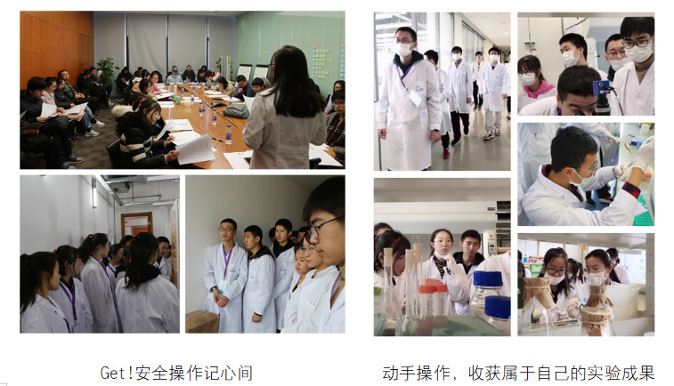 清大紫育中学生科学研究能力培养计划（四） 物种数字化分类和智能可视化识别11