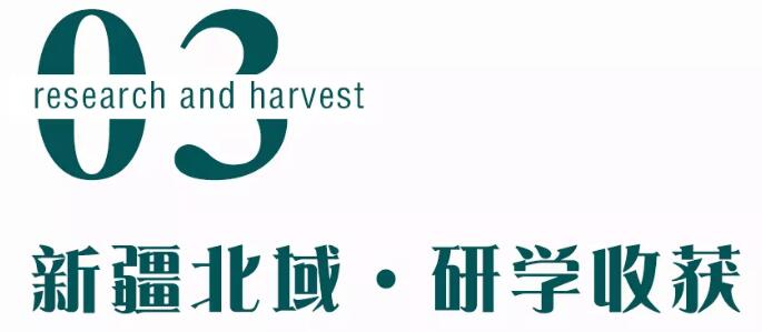 2020年上海快亲大美新疆8日亲子游 一起来看草原花海！4