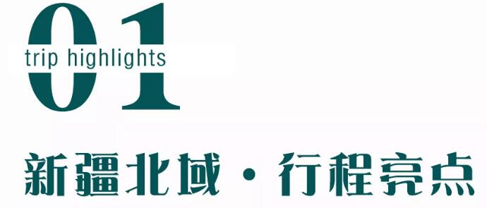 2020年上海快亲大美新疆8日亲子游 一起来看草原花海！2