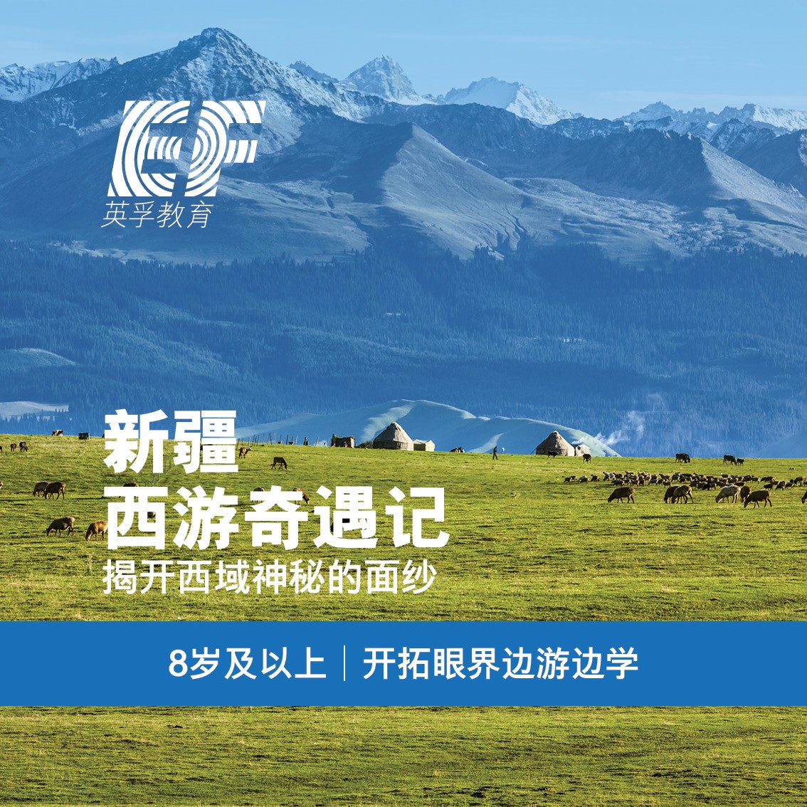 2019年暑假怎么过？英孚少儿国内夏令营等你来体验！11