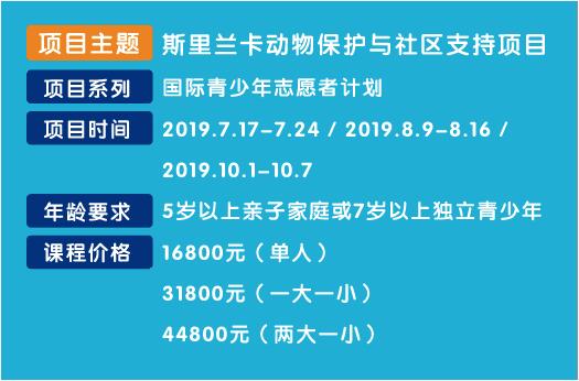 2019年开心豆少儿英语暑期夏令营招生开启 国内国外任选3