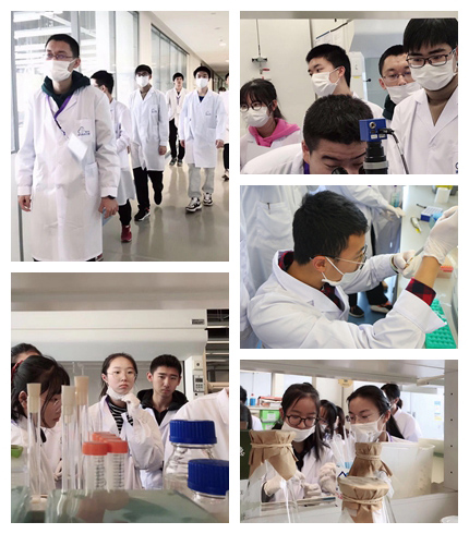 实践出真知 | 清大紫育探索微生物奥秘青少年研究性学习营开启研学旅程！2
